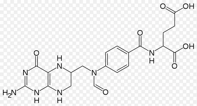 甲酰基四氢叶酸医药药物四氢叶酸亚甲基四氢叶酸还原酶1