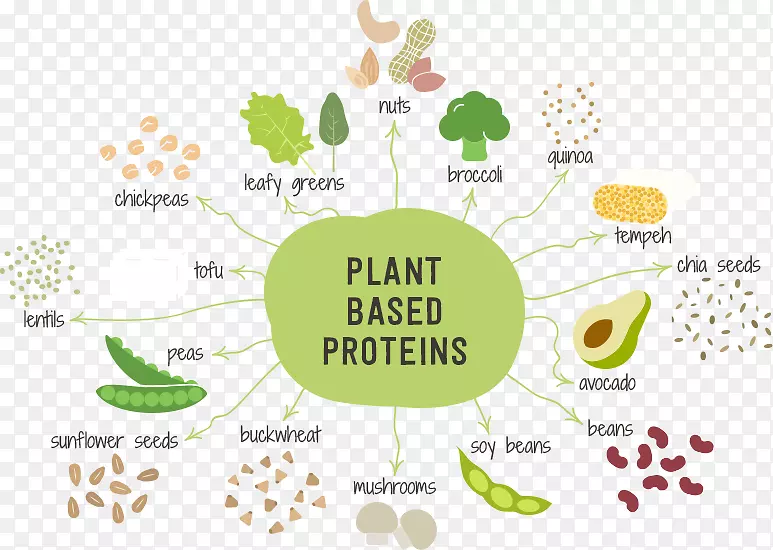 以植物为基础的饮食水果营养蔬菜水果和蔬菜