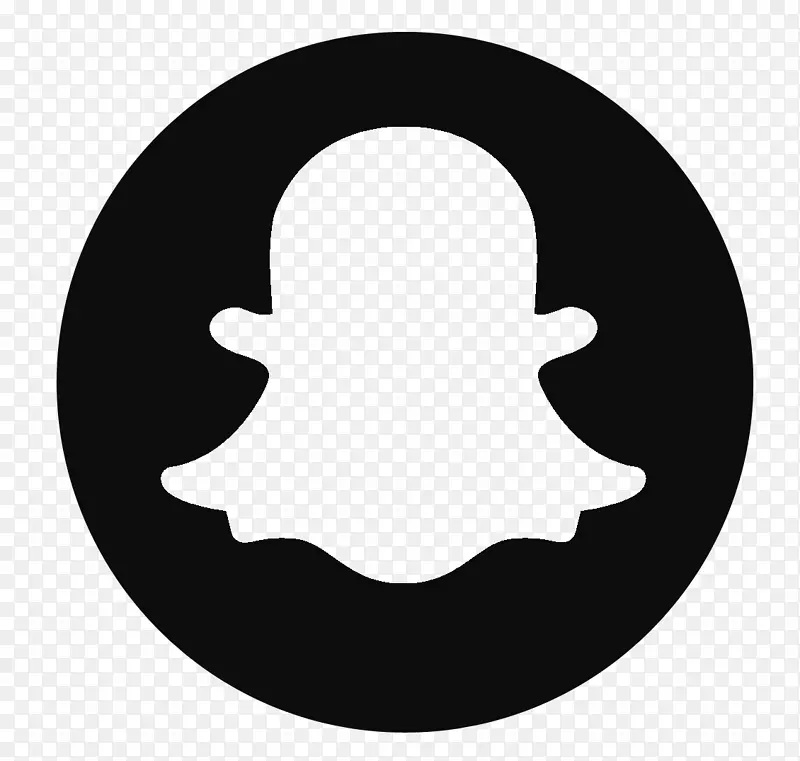 计算机图标Snapchat徽标-SnapchatPNG图片素材下载_图片编号2610261-PNG素材网