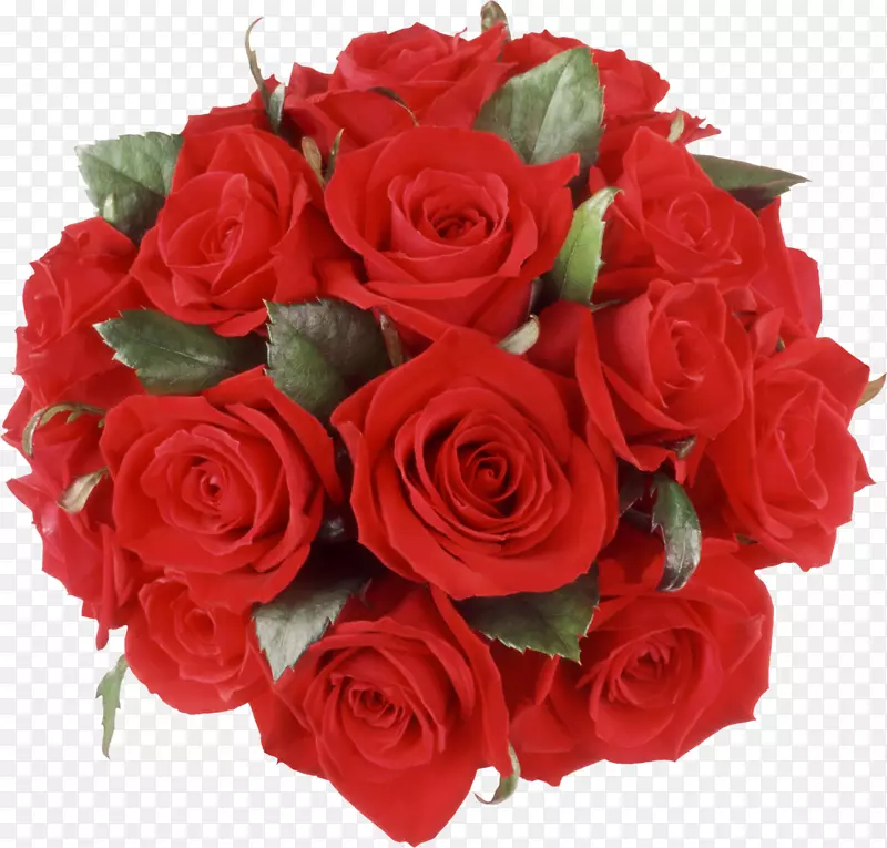 花束玫瑰桌面壁纸夹子艺术-玫瑰