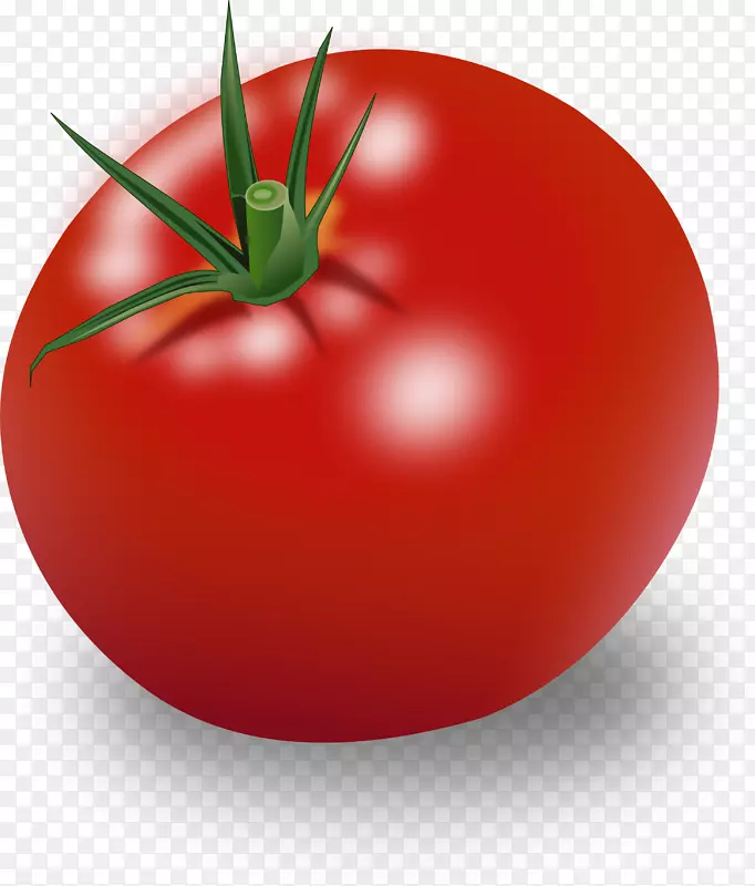 蔬菜番茄酱樱桃番茄剪贴画-蔬菜