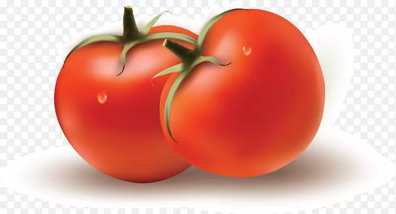 李子番茄灌木番茄蔬菜-番茄