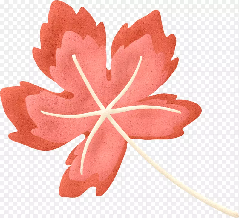 塑料帆布针皮卡萨网络相册彩带-树叶手绘