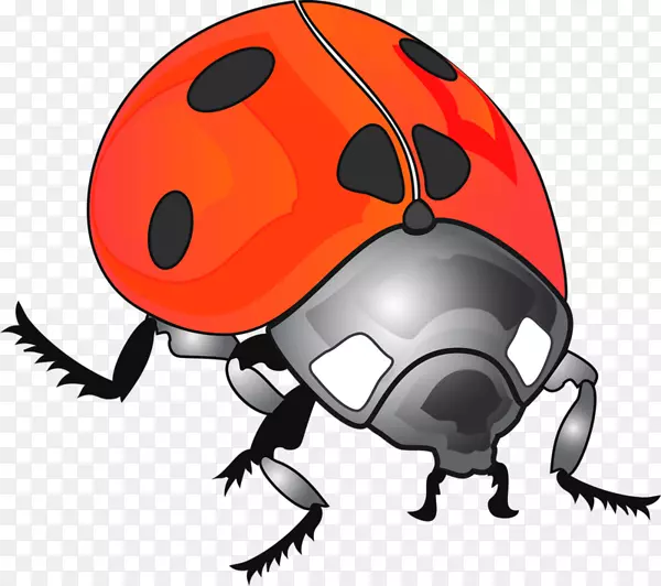瓢虫剪贴画-甲虫