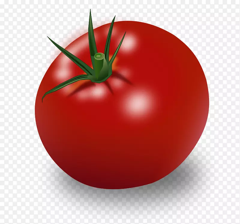 樱桃番茄蔬菜食品水果剪贴画-Verdura