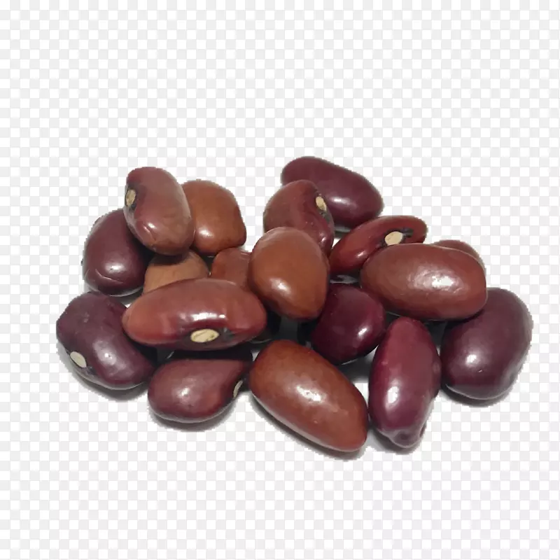 传家宝豆，阴侧农场公司，传家宝植物，可可豆-大豆