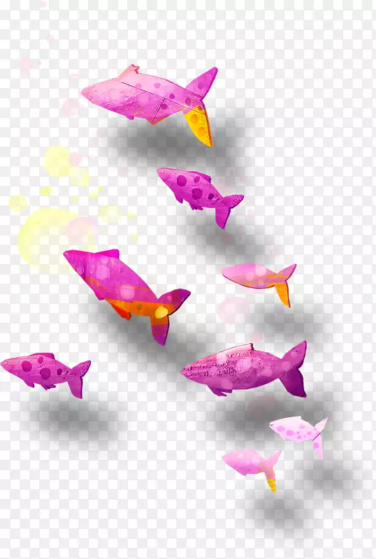 粉红m-龙鱼