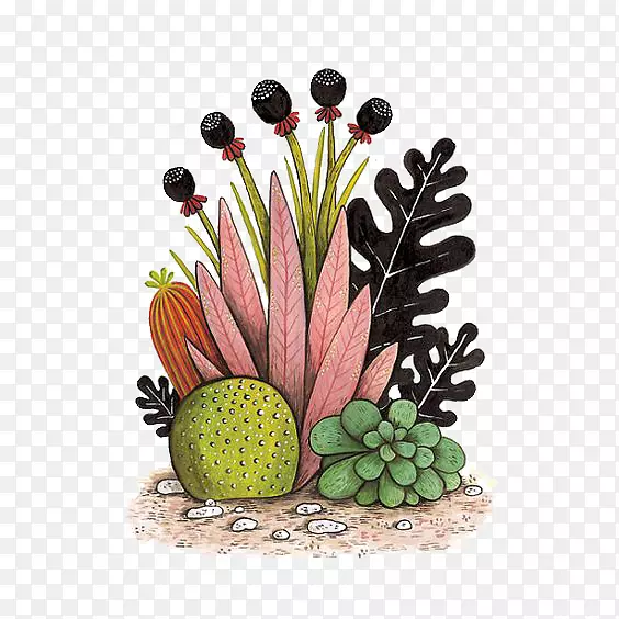 仙人掌科绘画艺术肉质植物设计