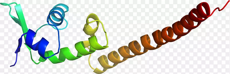 TATA结合蛋白TATA马达转录因子II d跨激活结构域