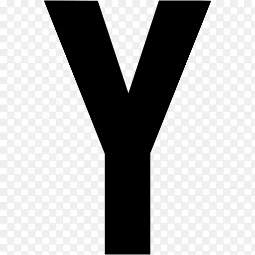 黑字计算机图标字母大小写字母y