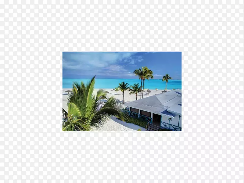 绿海龟礁宝贝希望小镇希尔顿在度假村世界比米尼大乔唐纳礁宝贝岛媒体