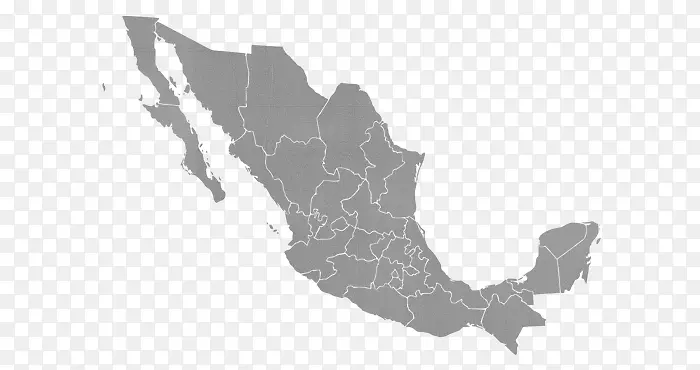 1994年墨西哥普拉亚·德尔卡门大选-人