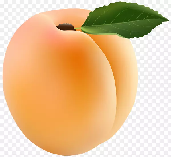 杏片艺术-杏