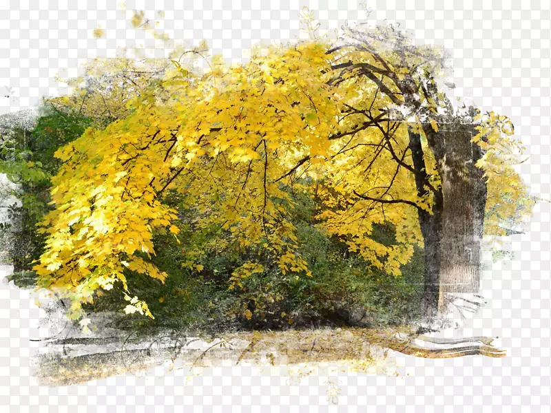 秋季桌面壁纸摄影-秋季