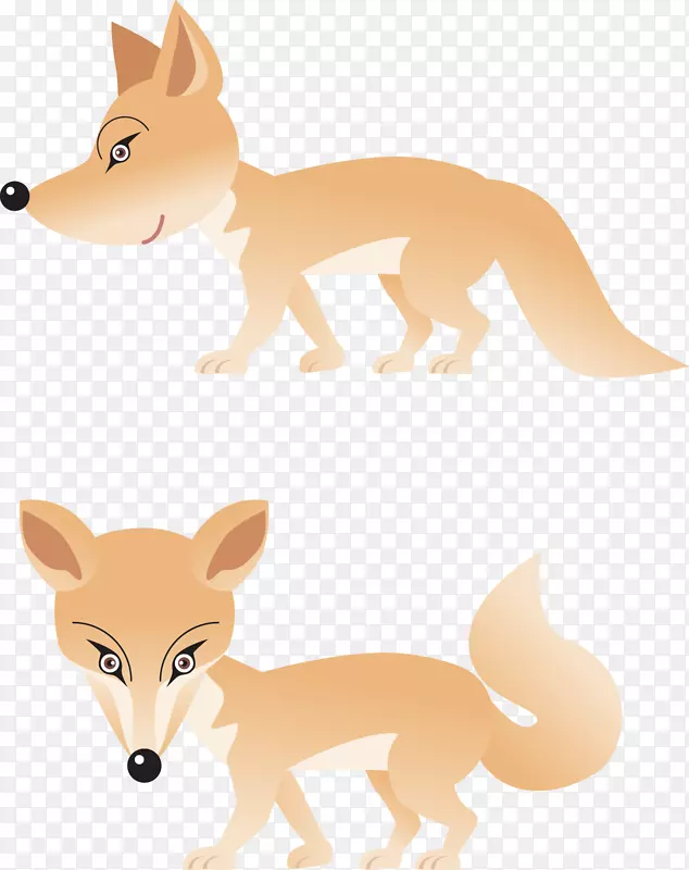 红狐犬繁殖线毛狐猎犬-狐狸