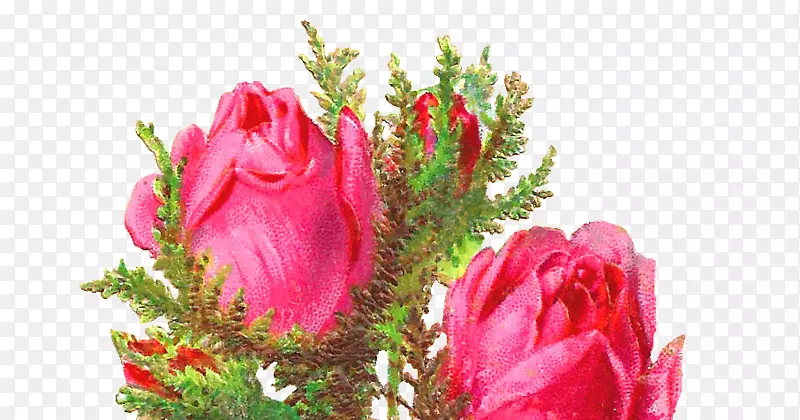 花园玫瑰剪贴纸粉红破旧别致的花