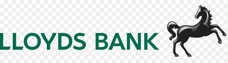 劳埃德银行国际支付保障保险金融银行