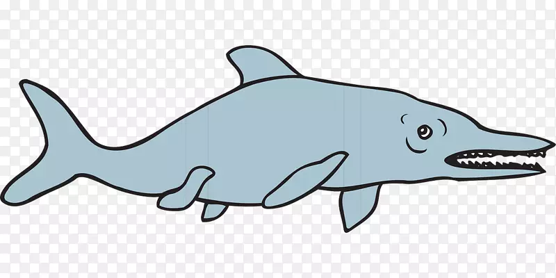 普通宽吻海豚图库溪粗齿海豚鲨鱼鲨