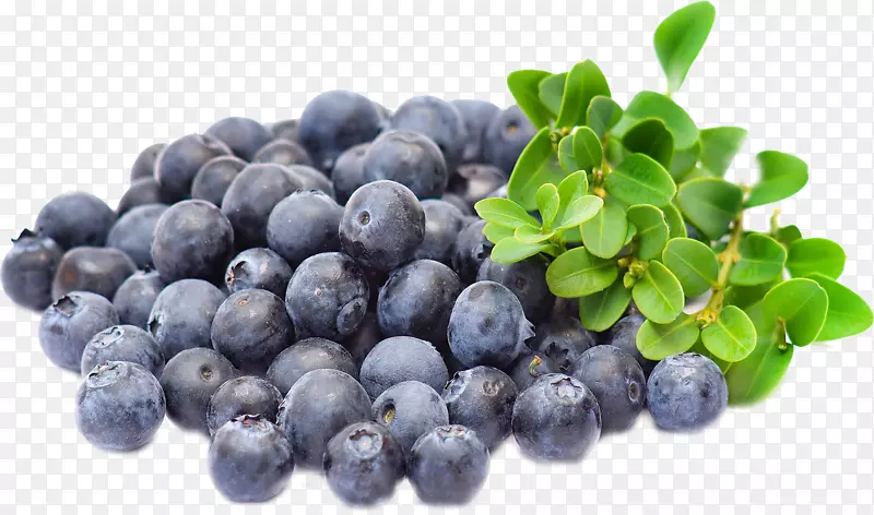 蓝莓提取物-蓝莓