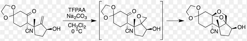 数字车身珠宝图案.设计