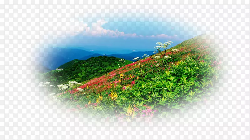 台式机墙纸山站植物电脑壁纸山景