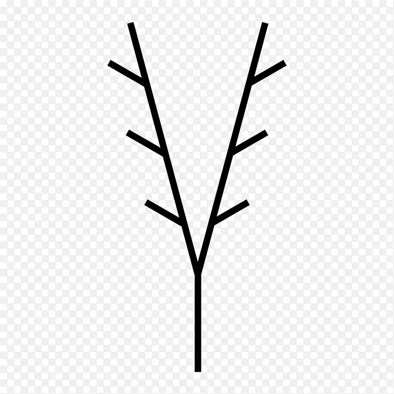 植物茎叶角线