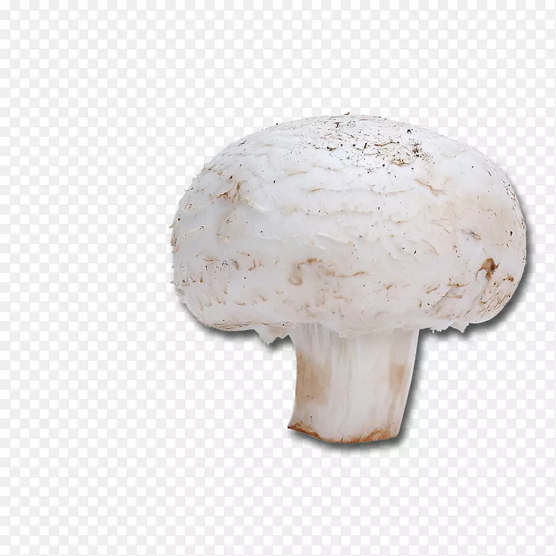 普通蘑菇膳食纤维配方核黄素