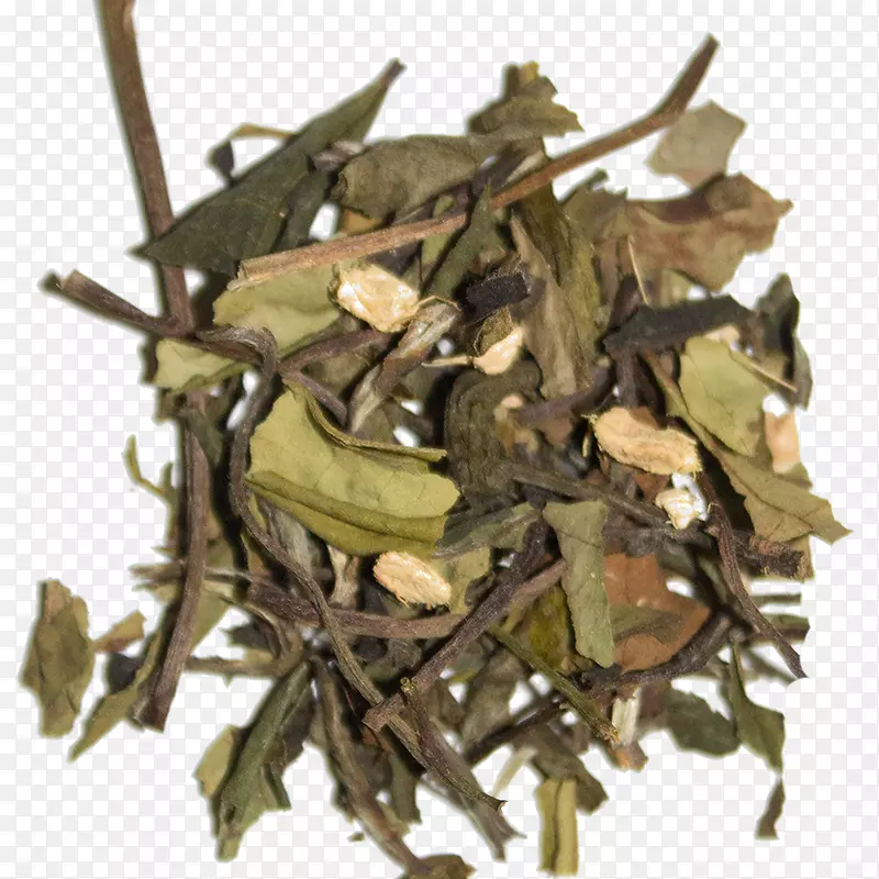 尼尔吉里茶hōJicha成分茶树