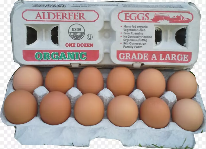 有机鸡蛋生产老荷兰橱柜鸡免煮鸡蛋