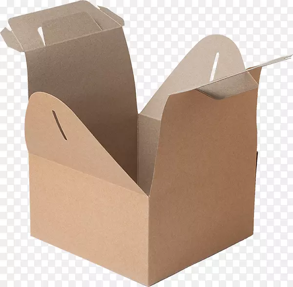 箱式牛皮纸袋包装和标签盒