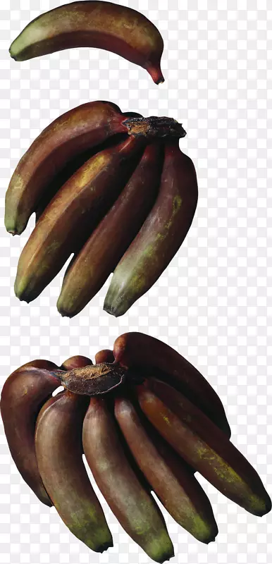 蒸煮香蕉硬香蕉红香蕉Musa×Paradisiaca