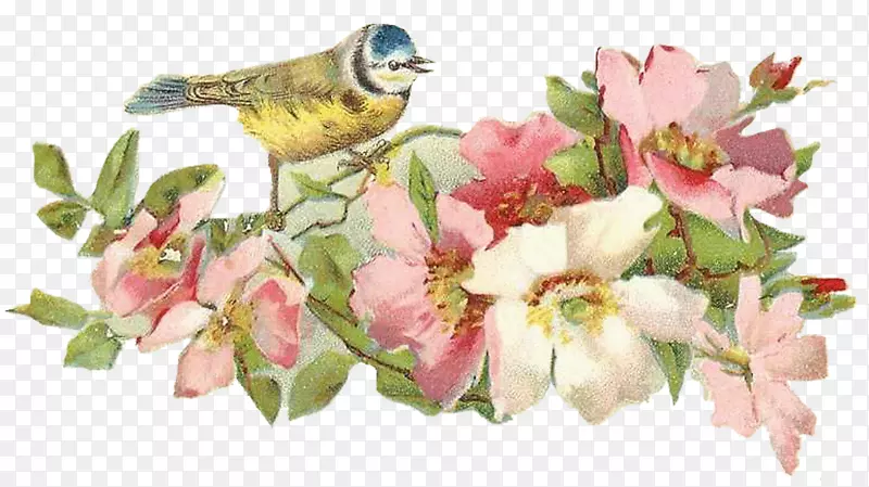围裙切花Bokm rke-花