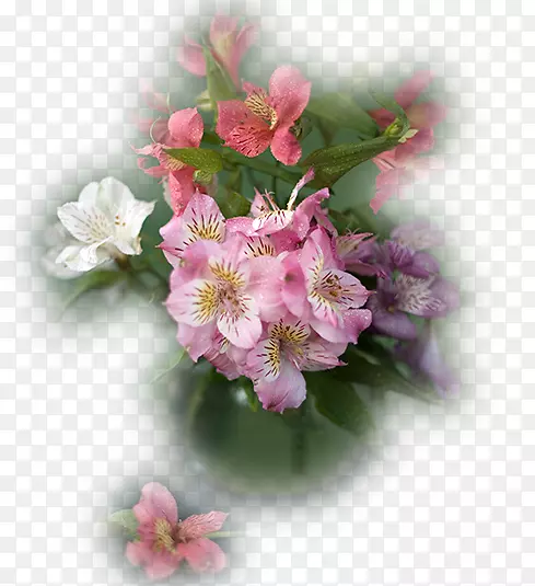 印加百合切花花型花束