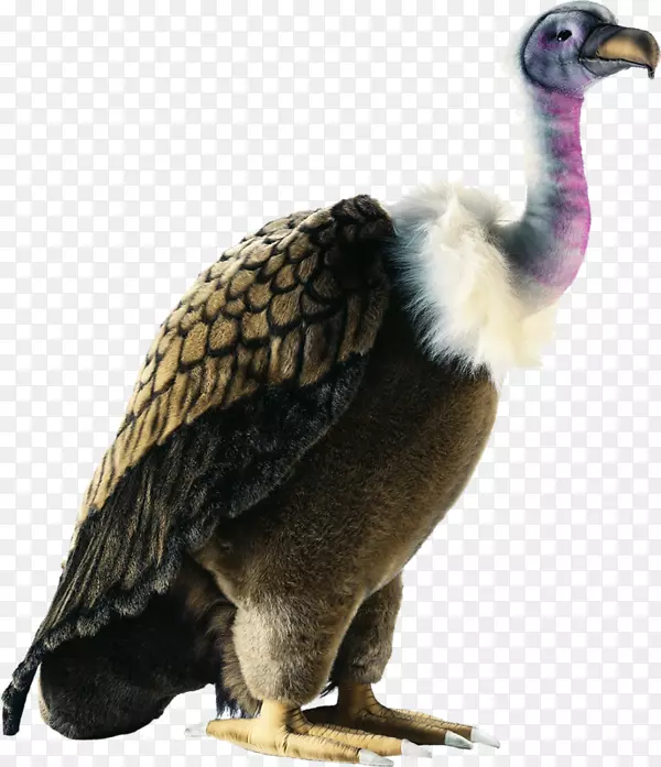 猛禽毛绒动物玩具秃鹫鸟