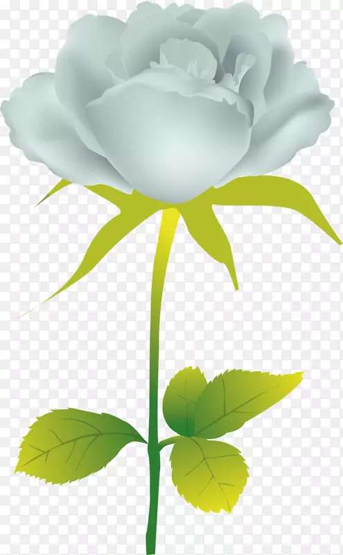 花园玫瑰插花艺术