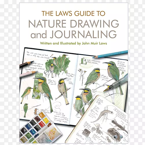 自然绘图和日志法律指南-自然日记平装本法律速写本