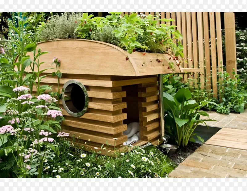 AlanTitchmarsh如何花园：花园设计周末园艺如何花园-即时彩色庭院-设计