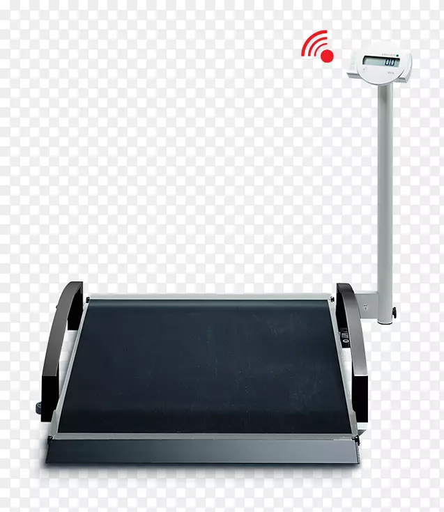 SECA GMBH测量秤测量轮椅测量仪轮椅