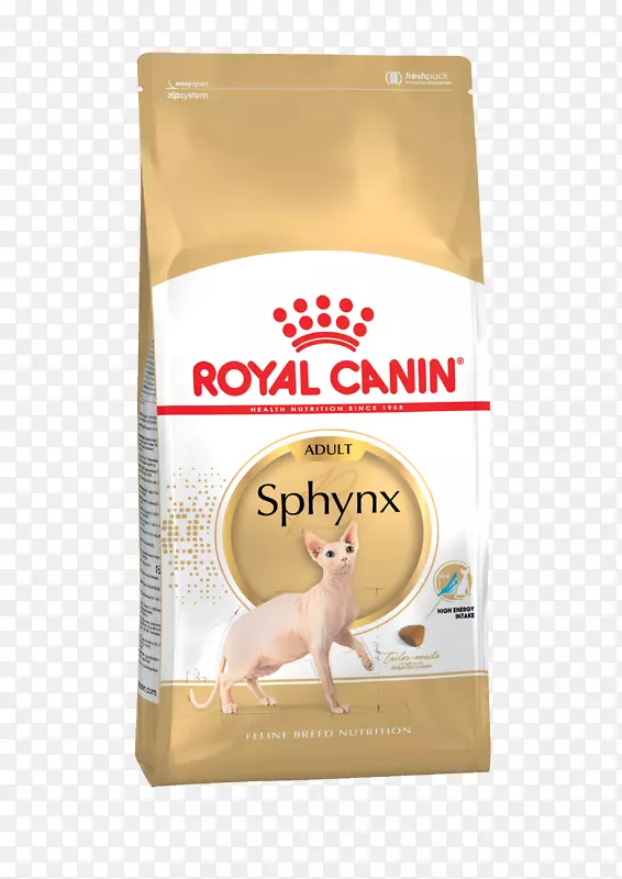 Sphynx猫食狗波斯猫英国速记犬