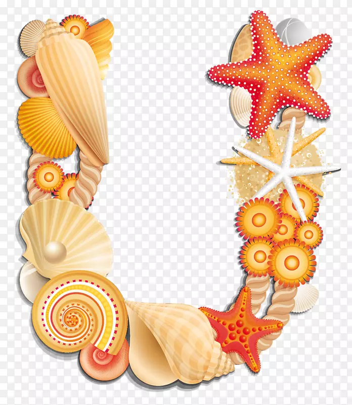 字母seashell u英文字母表-seashell