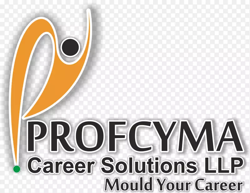Procyma职业解决方案llp网页开发由闪亮的图形设计.设计