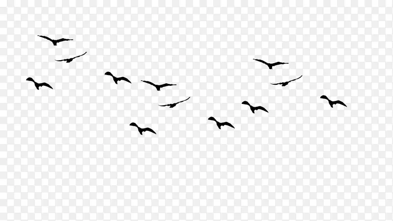 鸟飞鸥画鸟轮廓-鸟