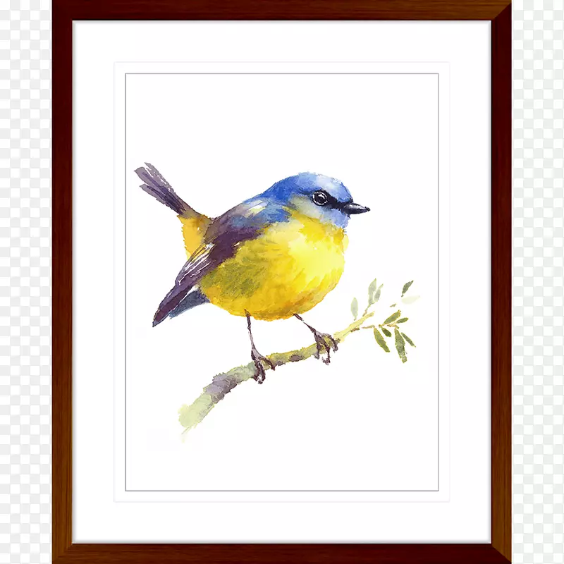 水彩画艺术水彩画鸟油画-鸟