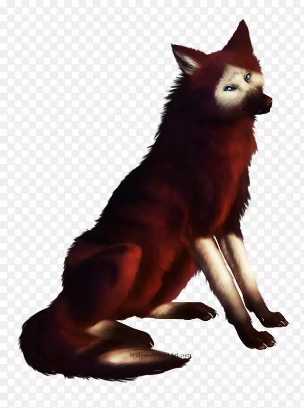 红狐犬