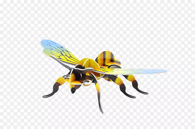 蜜蜂黄蜂三维空间昆虫形态