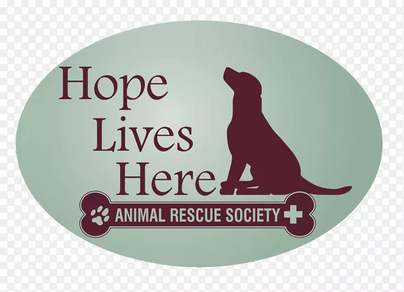 动物救援组织aarcs-艾伯塔省动物救援人员协会希望用爪子-人