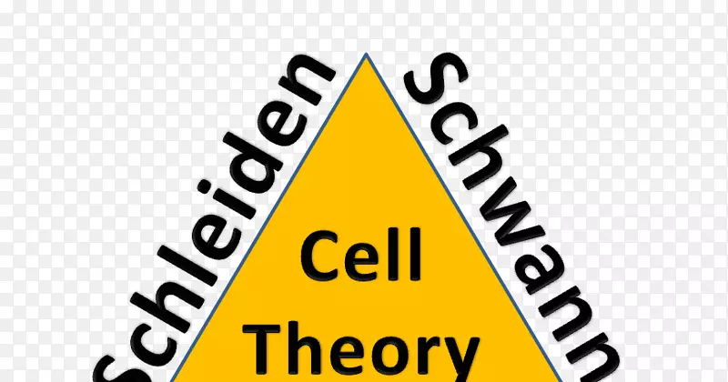 细胞理论生物学-Zacharias Janssen