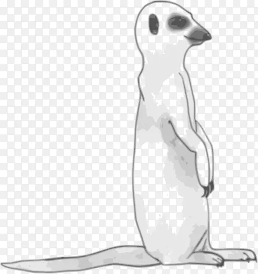 Meerkat线艺术剪贴画