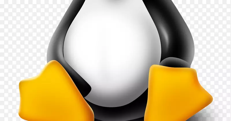 Linux薄荷快照ubuntu linux内核-linux