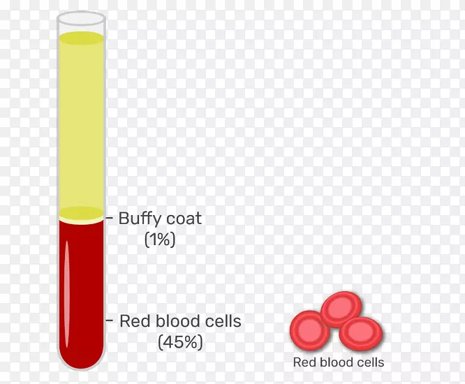 布菲大衣红细胞血浆白血球